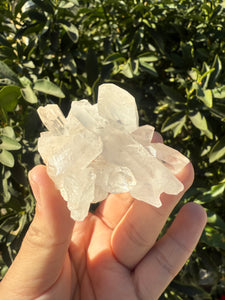 Clear Quartz Crystal Cluster