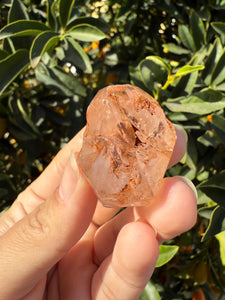 Red Mud Skeletal Quartz Crystal Point ,Petroleum Oil Quartz,#01