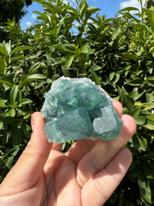 Green Cubic Fluorite fluorite cluster,Mineral Specimen B