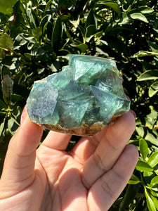 Green Cubic Fluorite Cluster, Fluorite Mineral Specimen C