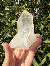Load image into Gallery viewer, Clear Quartz Crystal Cluster,Natural Mineral Specimen,Raw Cluster,A245
