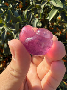 Large Pink Fluorite Paw