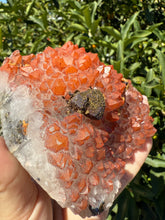 Load image into Gallery viewer, Red Quartz with Chalcopyrite from Jiangxi, China,Hematite Included,A91
