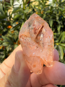 Red Mud Skeletal Quartz Crystal Point ,Red Mud Quartz,#987