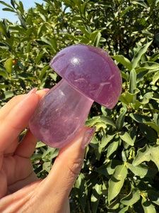 Large Natural Purple Fluorite Mushroom Crystal | Fluorite Mushroom Sculpture