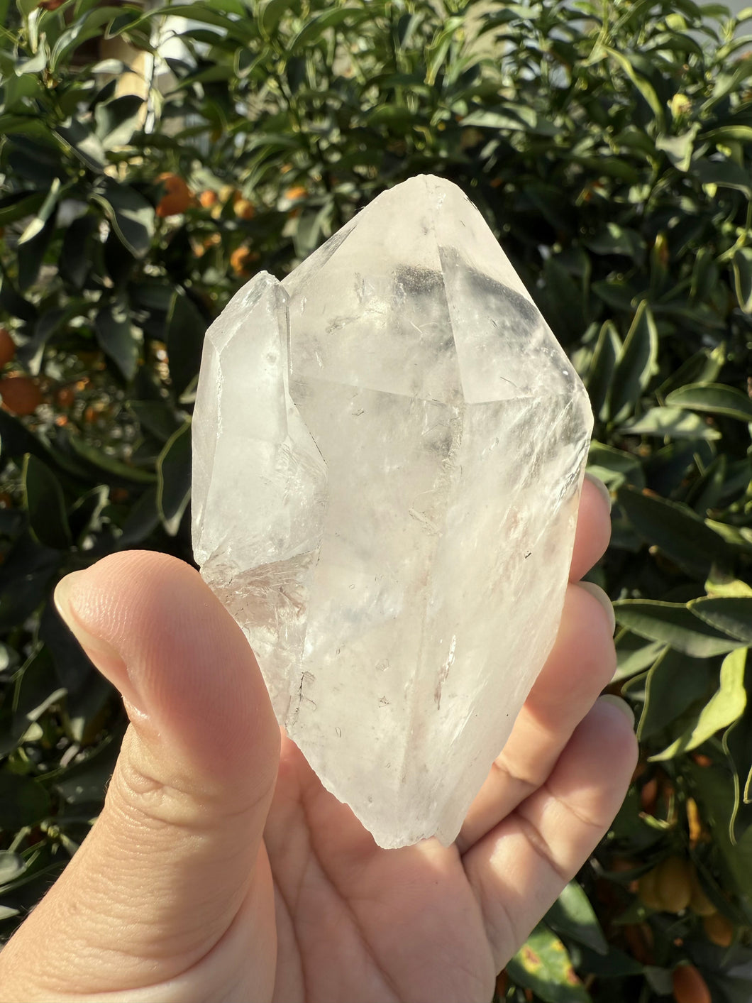 Himalayan Tabular Crystal Record-keeper Quartz Crystal from Pakistan