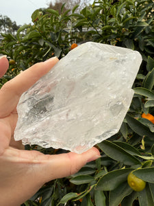 620g Himalayan Tabular Crystal Record-keeper Quartz Crystal from Pakistan