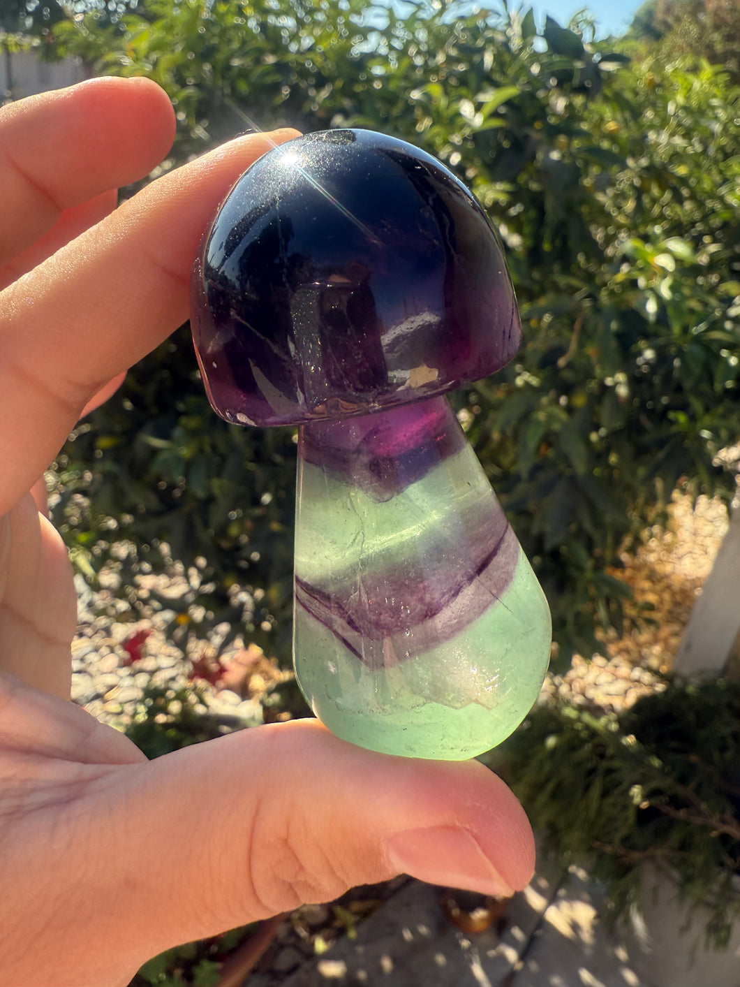 Dark Purple Green Fluorite Mushroom