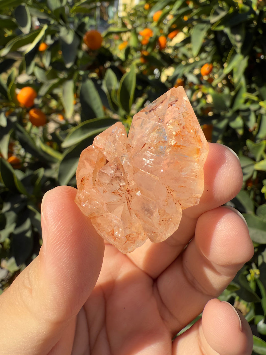 Red Mud Skeletal Quartz Crystal Point ,Red Mud Quartz,#985