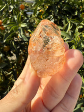 Load image into Gallery viewer, Red Mud Skeletal Quartz Crystal Point ,Petroleum Oil Quartz #02
