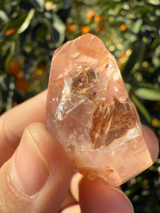 Red Mud Skeletal Quartz Crystal Point ,Red Mud Quartz ,#981