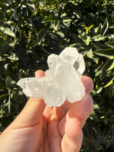 Clear Quartz Crystal Cluster