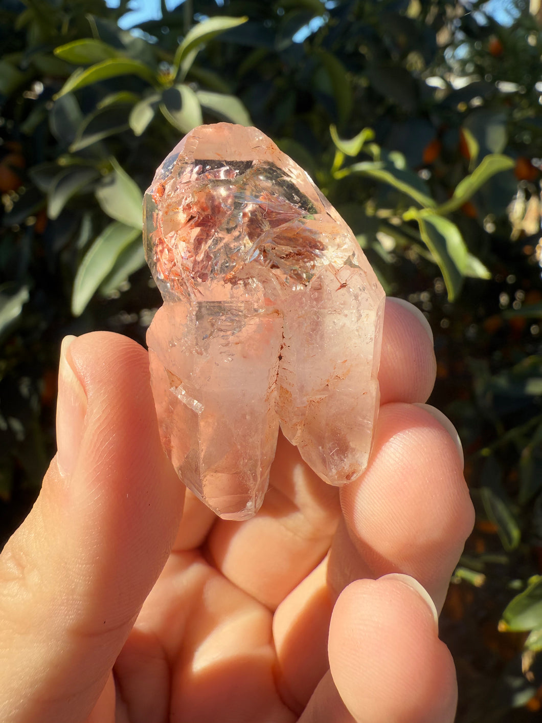 Red Mud Skeletal Quartz Crystal Point ,Red Mud Quartz ,#980