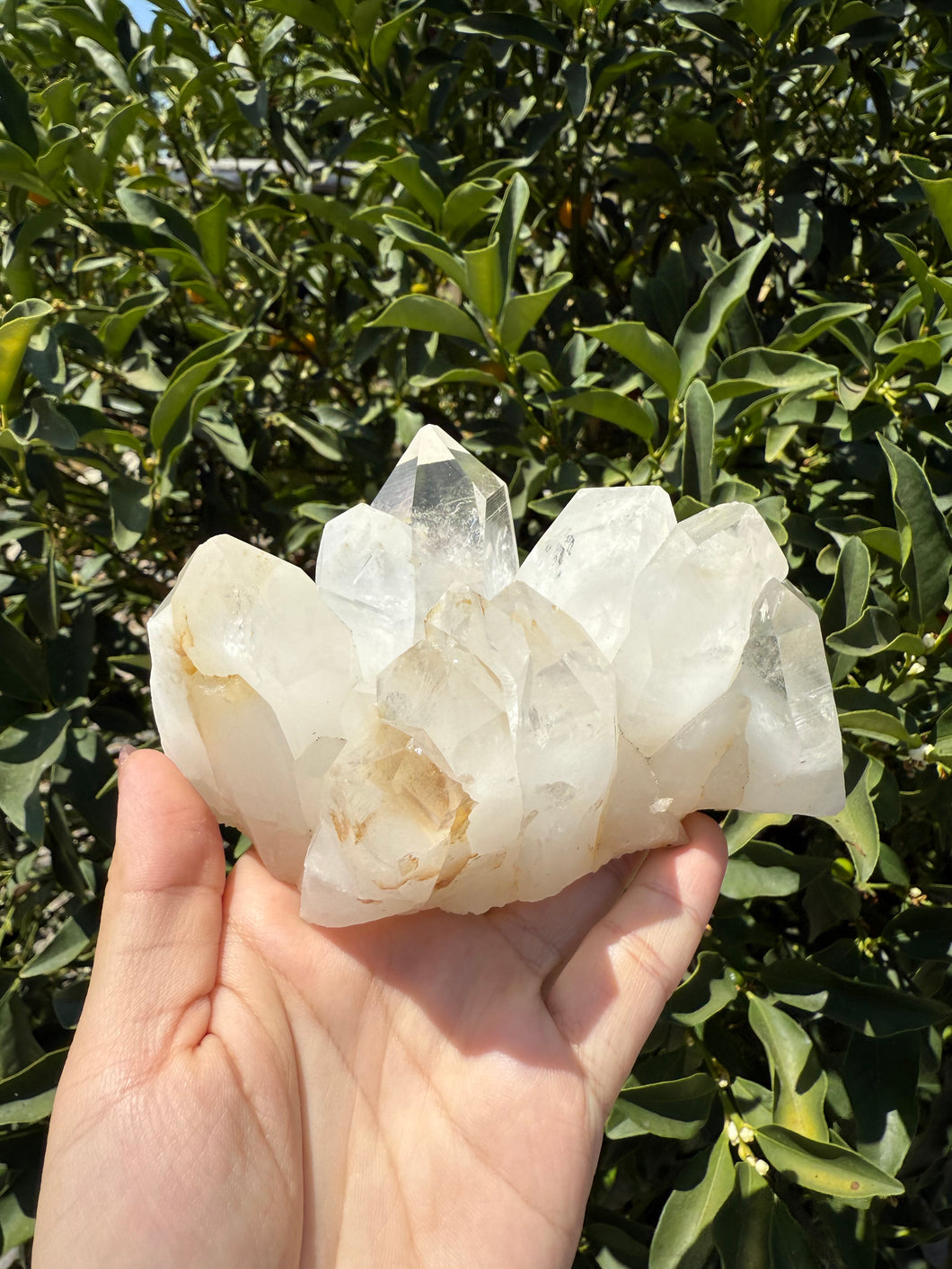 Natural Himalayan Quartz Cluster from Pakistan,Clear Quartz Mineral Specimen,A68