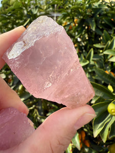 2pcs Natural Rose Quartz with Unique Tree