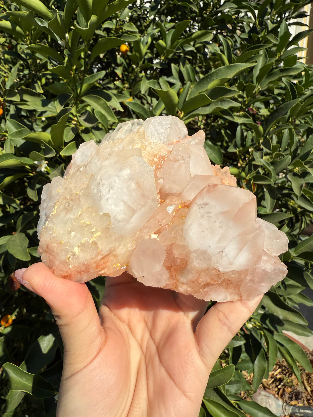 Large Raw Quartz Crystal Cluster - Natural Healing Stone