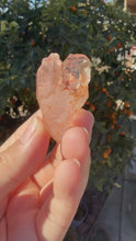 Load and play video in Gallery viewer, Red Mud Skeletal Quartz Crystal Point ,Red Mud Quartz,#973
