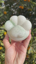 Load and play video in Gallery viewer, Huge Natural Quartzite Carved Paw,822g
