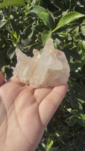 Load and play video in Gallery viewer, Small Raw Clear Quartz Cluster,98.2g
