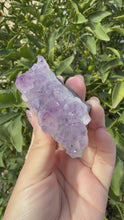 Load and play video in Gallery viewer, Natural Amethyst Cluster | Raw Crystal Specimen | Sparkling Lavender Quartz,A191
