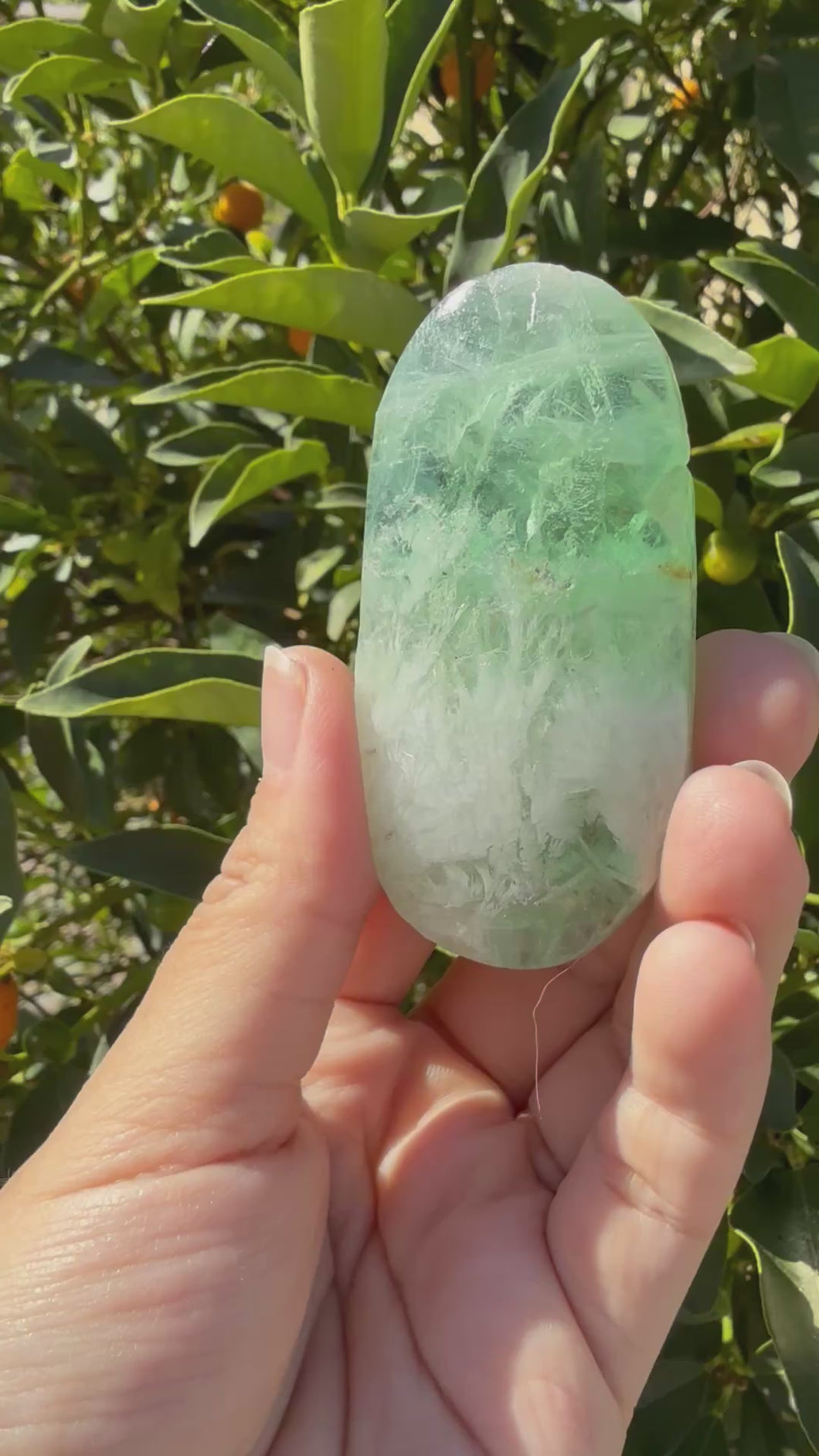 Natural Feather Fluorite Palm Stone,Snowflake Quartz Fluorite Palm Stone,A179