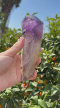 Load and play video in Gallery viewer, 6.8&quot;1.2LB Natural Amethyst Obelisk,Crystal wand point,Dragon tooth

