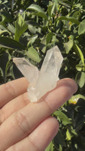 Load and play video in Gallery viewer, Small Raw Clear Quartz Cluster,25.6g
