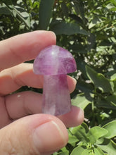 Load and play video in Gallery viewer, Mini Fluorite Mushroom Carving-1.43in
