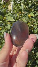 Load and play video in Gallery viewer, Natural Brazil Smoky Quartz Palm Stone,Meditation Palm Stones,A261
