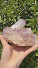 Load and play video in Gallery viewer, Amethyst Quartz Cluster,Raw Clear Quartz Cluster,Collection Home Decor,A46
