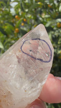 Load and play video in Gallery viewer, Natural Enhydro Quartz Crystal with Moving Water Bubble,A314
