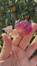 Load and play video in Gallery viewer, Natural Rainbow Candy Fluorite Fox, Fluorite Nine-Tailed Fox
