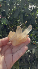 Load and play video in Gallery viewer, Small Raw Clear Quartz Cluster,96g
