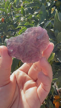 Load and play video in Gallery viewer, Grape Purple Cubic Fluorite Cluster, Healing Crystal Mineral Specimen
