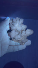 Load and play video in Gallery viewer, Botryoidal Druzy Calcite UV Reactive Phosphorescent Crystal Cluster,A467
