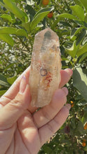 Load and play video in Gallery viewer, Trigonic Enhydro Quartz from Madagascar,Crystal Point with Water Inclusion,A99
