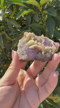 Load and play video in Gallery viewer, Purple Cubic Fluorite cluster, fluorite Mineral Specimen

