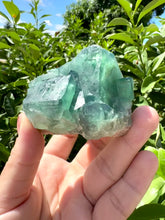 Load and play video in Gallery viewer, Green Cubic Fluorite fluorite cluster, fluorite Mineral Specimen D
