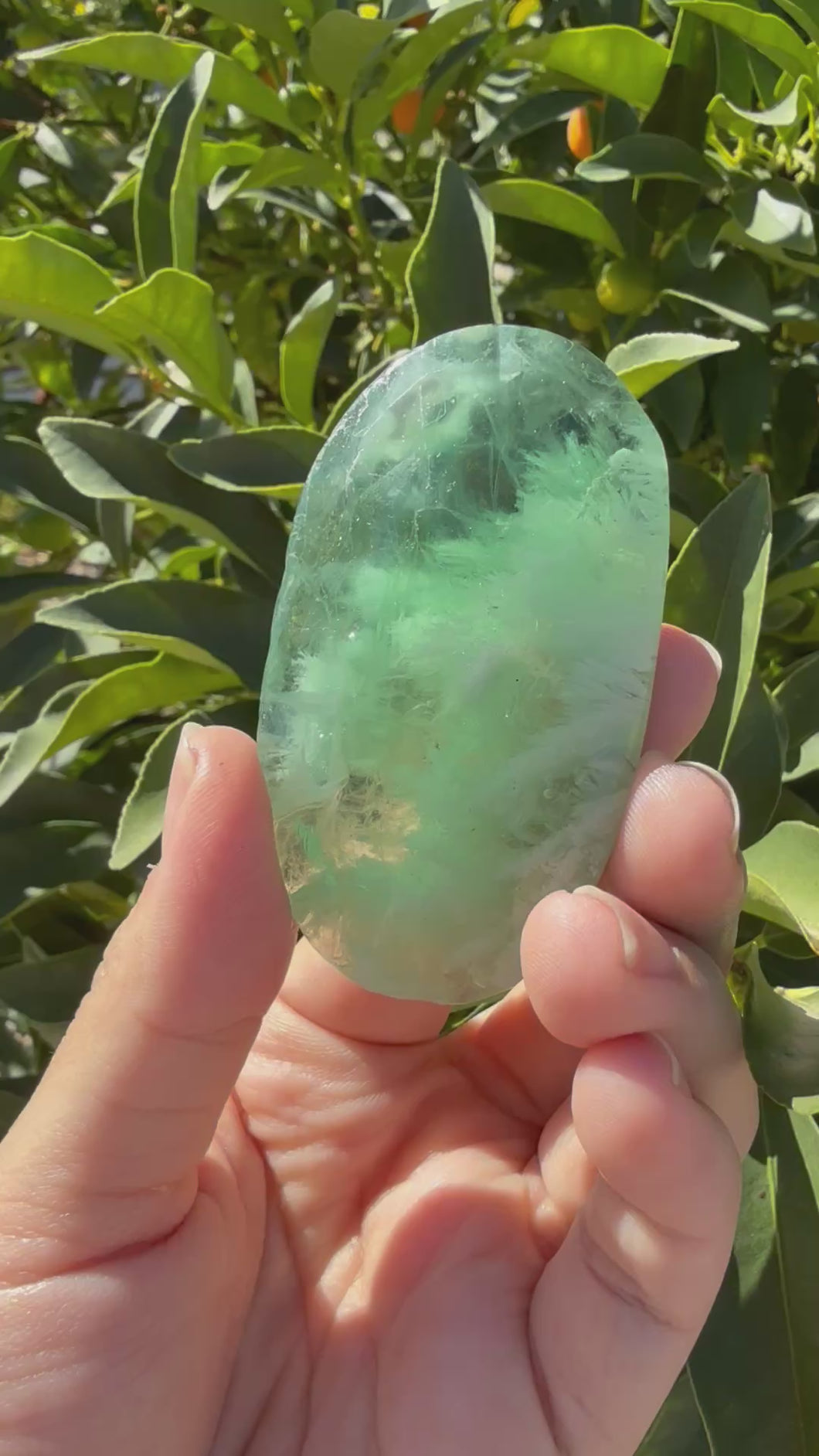 Natural Feather Fluorite Palm Stone,Snowflake Quartz Fluorite Palm Stone,A180