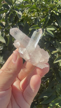 Load and play video in Gallery viewer, Clear quartz Natural Crystal Cluster
