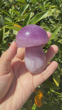 Load and play video in Gallery viewer, Large Natural Purple White Fluorite Mushroom Crystal, A85

