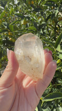 Load and play video in Gallery viewer, Raw Himalayan Quartz Crystal Point Pakistan Specimen Healing Reiki Decor A256

