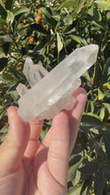 Load and play video in Gallery viewer, On Sale!Raw Clear Quartz Cluster, 110.6g
