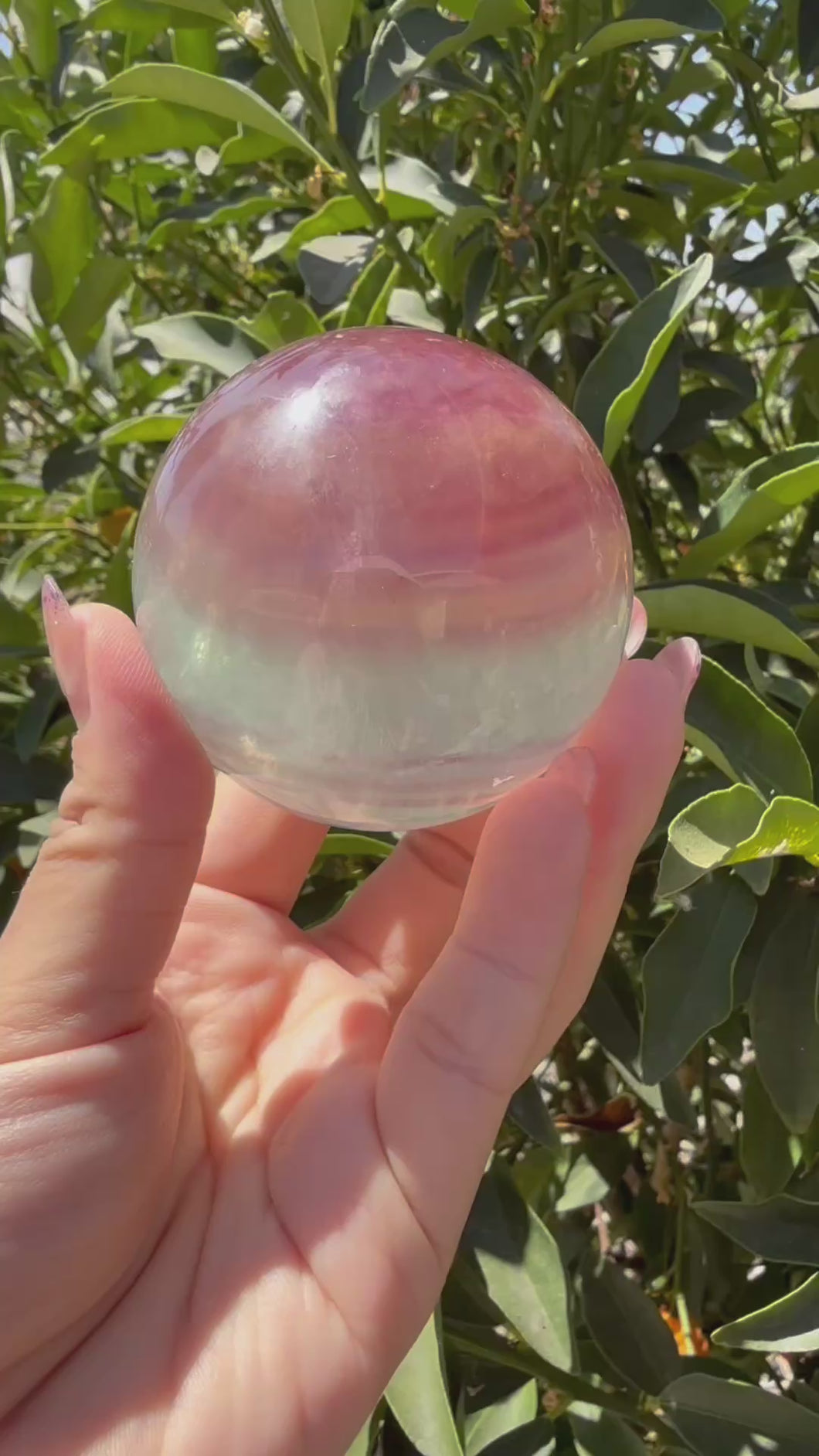 High Quality Candy Fluorite Sphere, Stunning Rainbow Fluorite Ball,A111