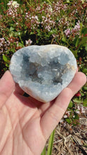 Load and play video in Gallery viewer, Celestite Geode Heart Blue Crystal Cluster Natural Raw Specimen Healing,A463
