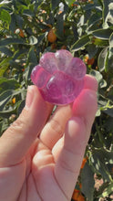 Load and play video in Gallery viewer, Large Pink Fluorite Paw
