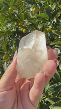 Load and play video in Gallery viewer, Raw Himalayan Quartz Crystal Point Pakistan Specimen Healing Reiki Decor A251
