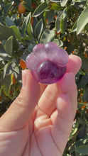 Load and play video in Gallery viewer, Large Purple Fluorite Paw
