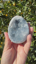Load and play video in Gallery viewer, Celestite Geode Egg,Raw Celestine for Calming Energy,A285
