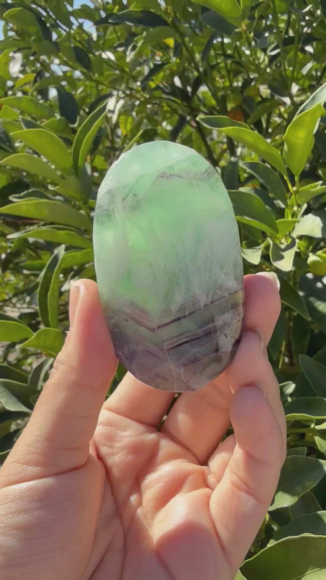 Natural Feather Fluorite Palm Stone,Snowflake Quartz Fluorite Palm Stone,A181